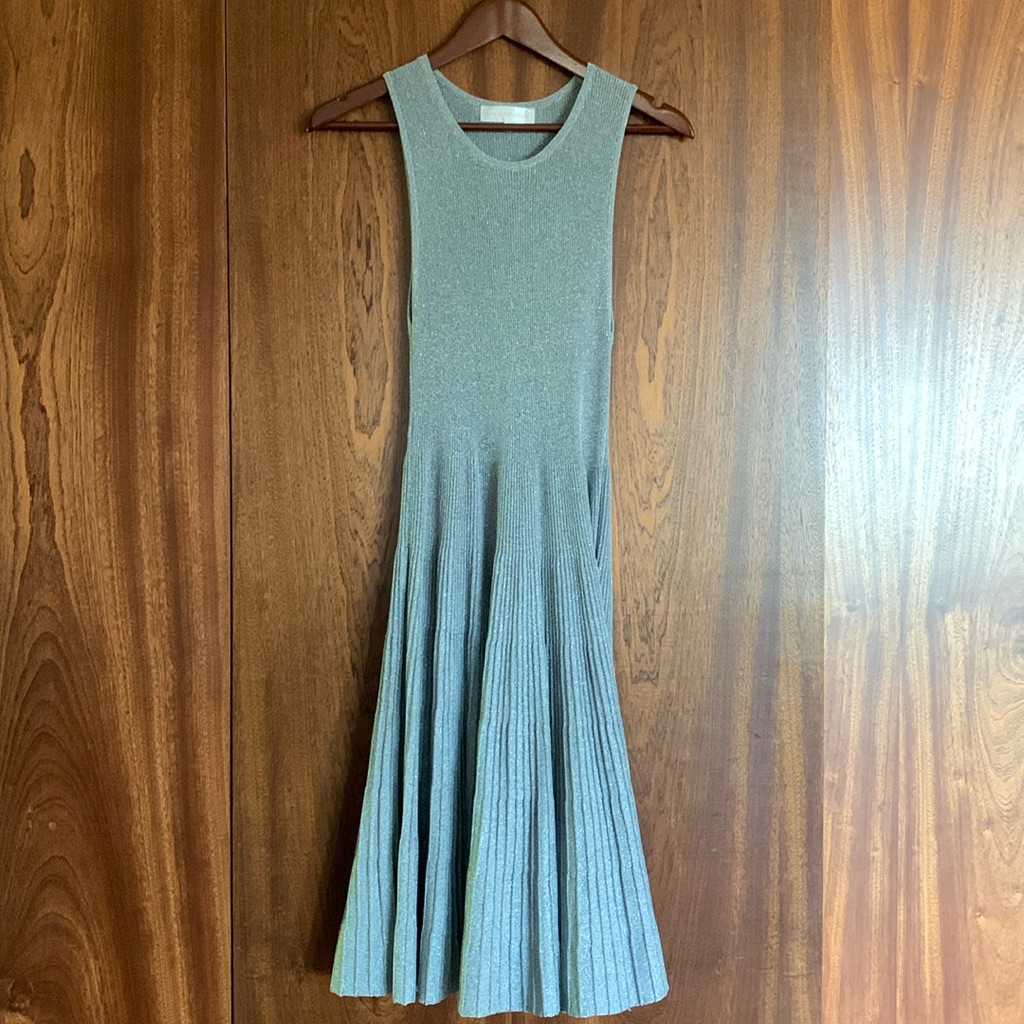 Luxe Apqothetique Silver Metallic Midi Dress